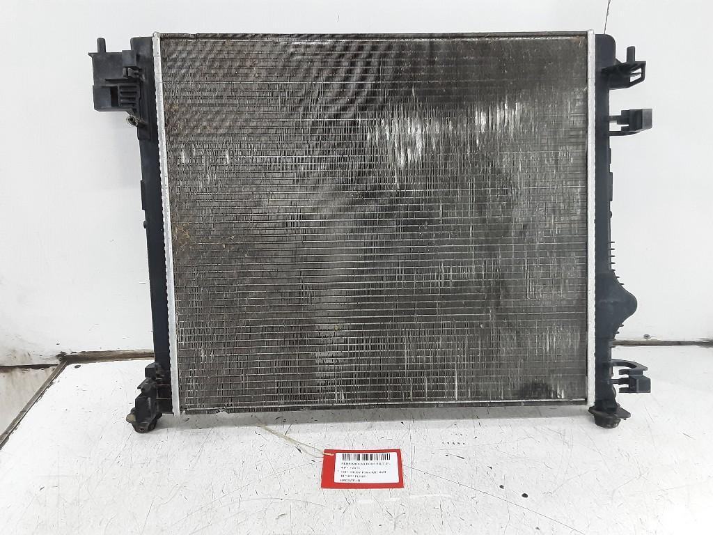 RADIATEUR EAU Renault Kadjar (RFEH) (01-2015/-) (214107399R), Renault, Mevr. I. Hauben, Utilisé, Rue de l'Espoir 34 34
4030  GRIVEGNÉE, BE