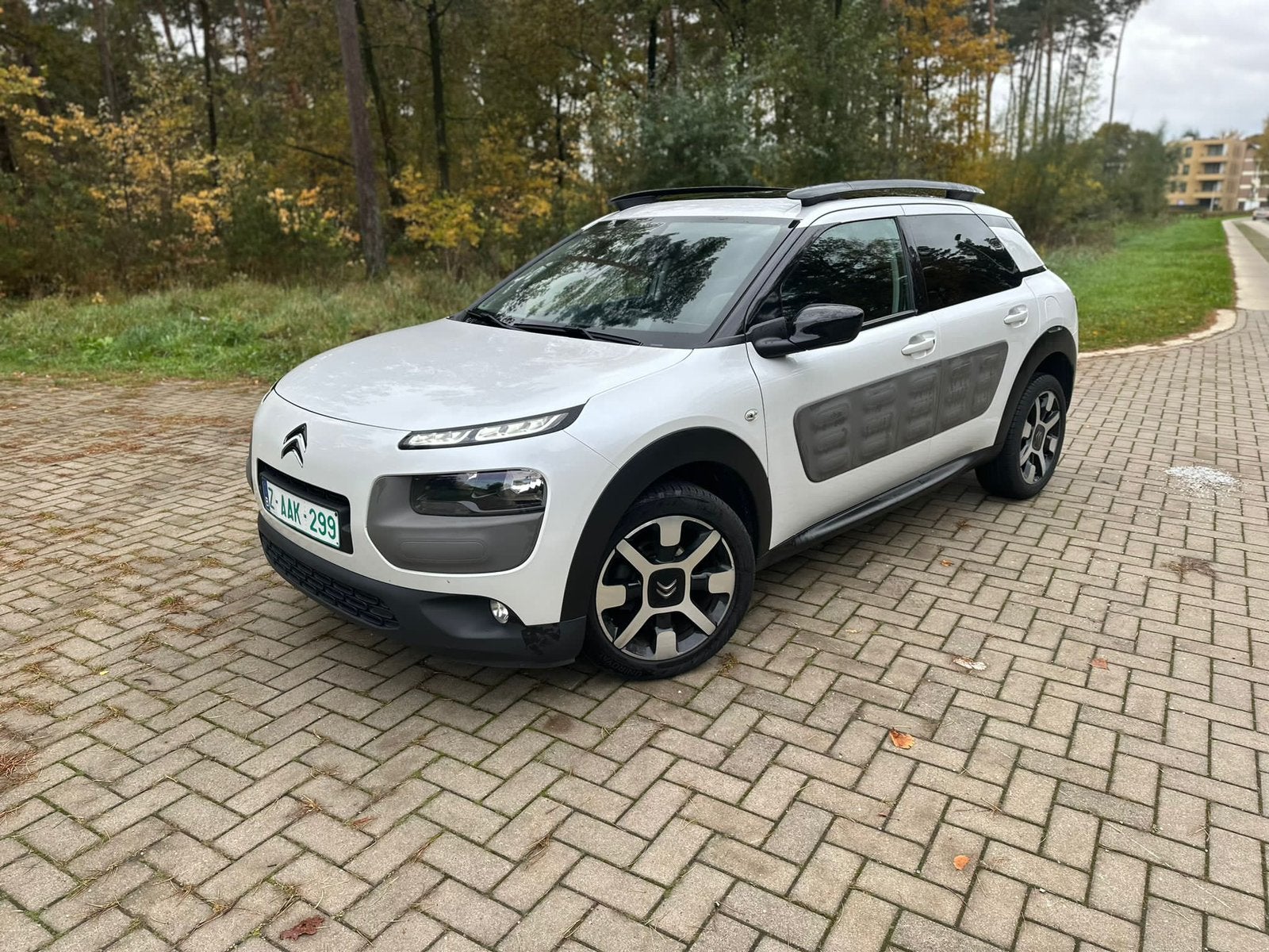 Citroën C4 Cactus, Autos, Achat, Euro 6, Automatique, Particulier