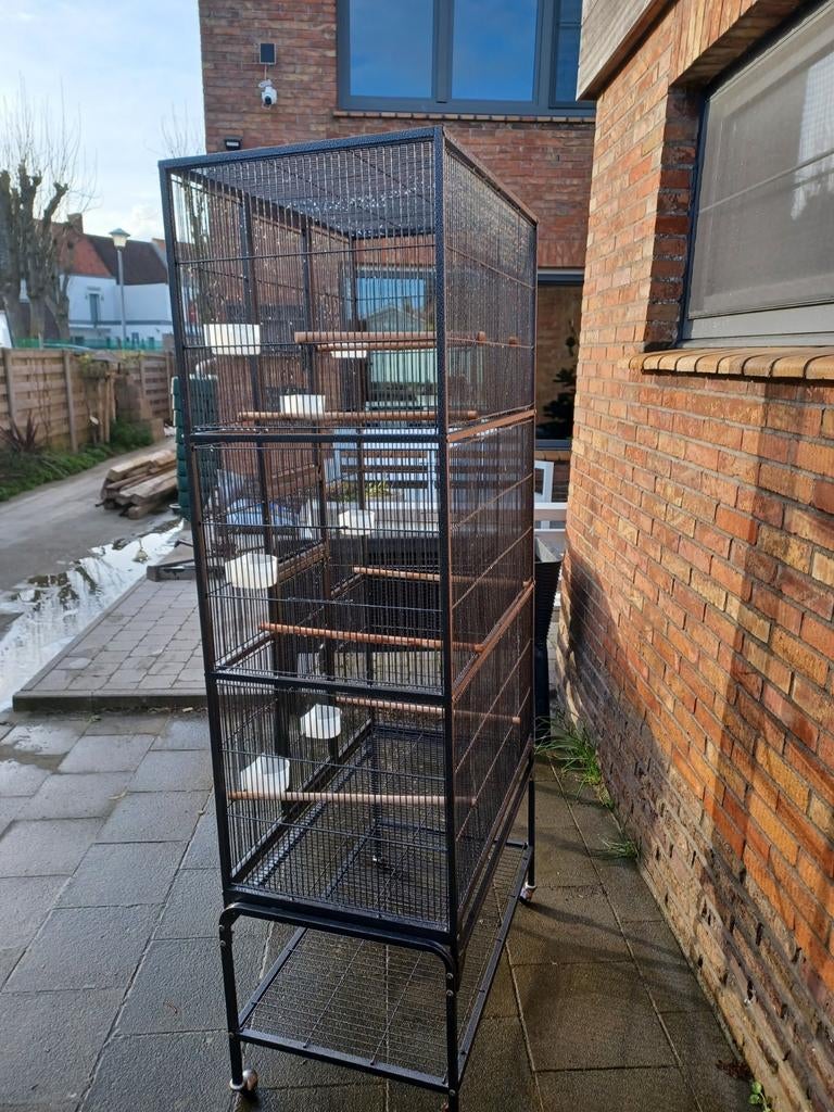 vogelkooi op wielen, Enlèvement, Comme neuf, Métal, Cage à oiseaux