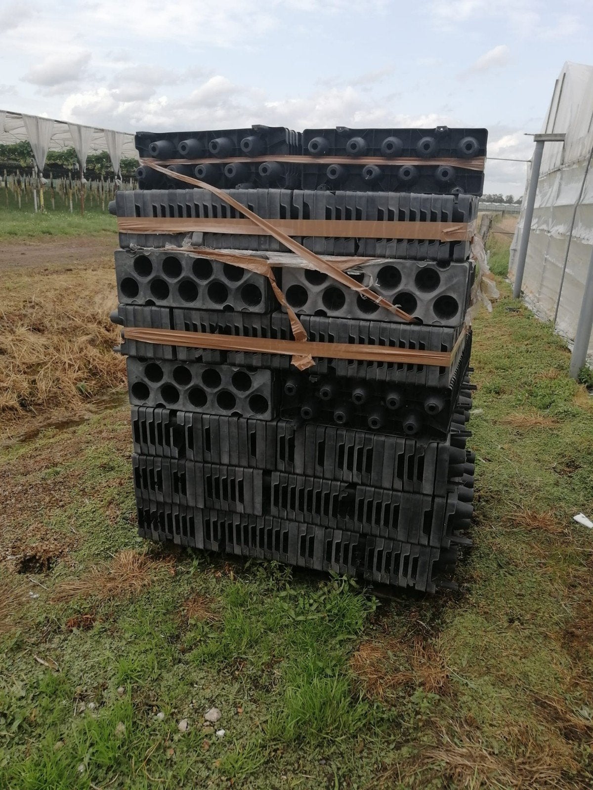 Trayplaten 9 gaats, Ophalen