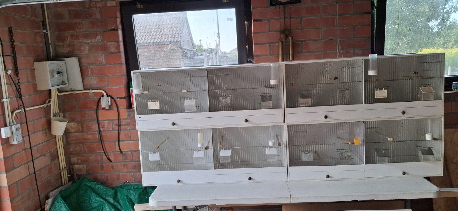 Kweekkooien, Enlèvement, Comme neuf, Bois, Cage d'élevage