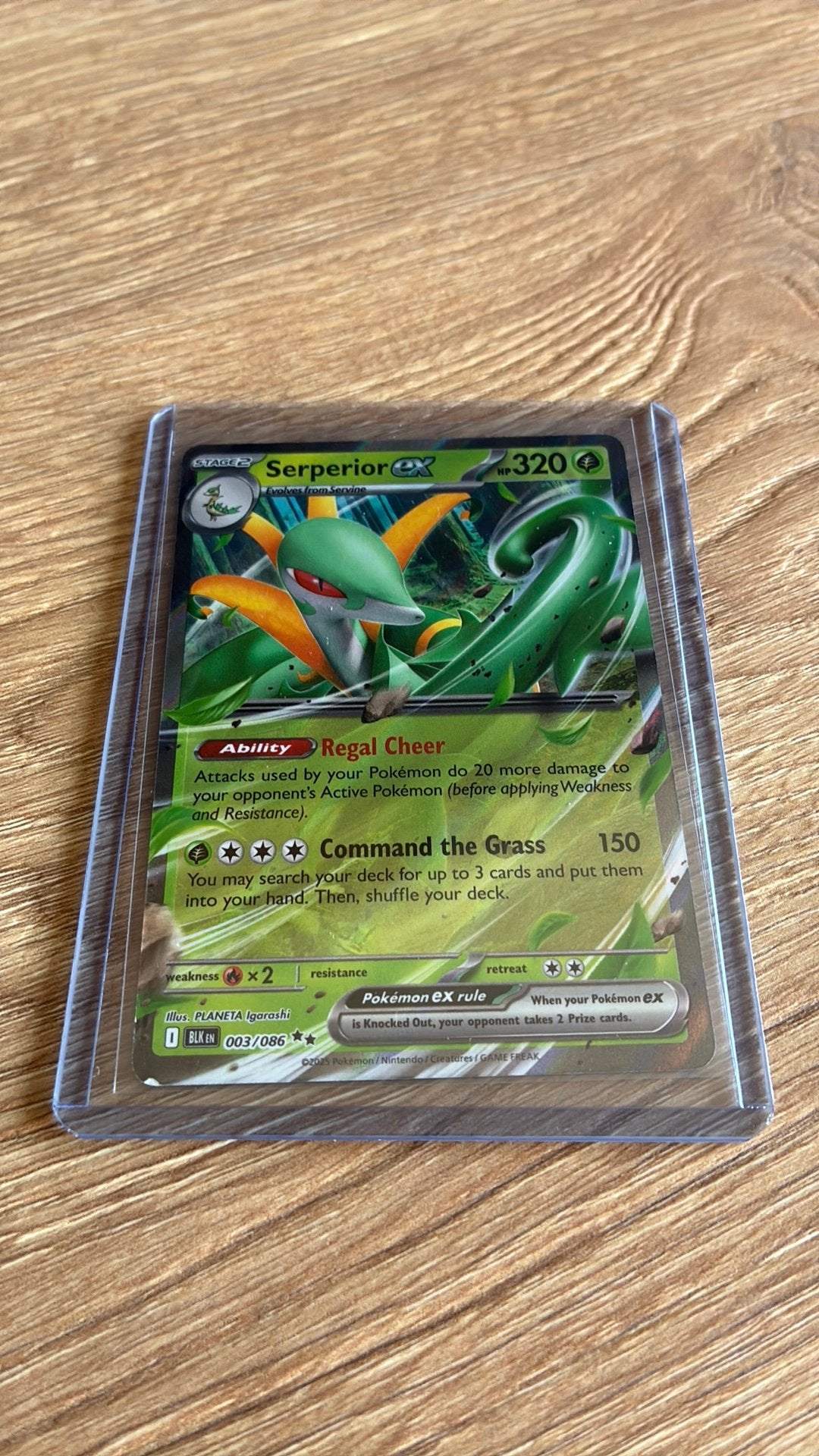 Serperior EX #003 - Black Bolt - Pokemon, Enlèvement ou Envoi, Comme neuf, Plusieurs cartes