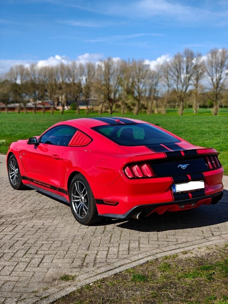 Ford Mustang 2015 ecoboost 2.3 USA, Auto's, Automaat, Achterwielaandrijving, Xenon verlichting, 4 cilinders