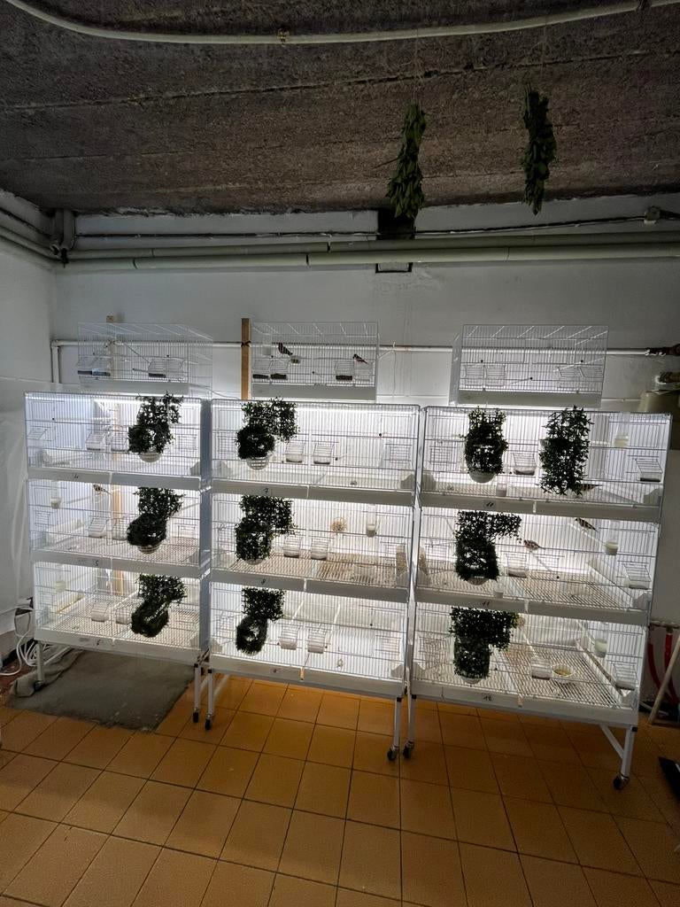 Plusieurs Cages de 90 et 55 a vendre, Animaux & Accessoires, Enlèvement, Comme neuf, Autres matériaux, Cage d'élevage