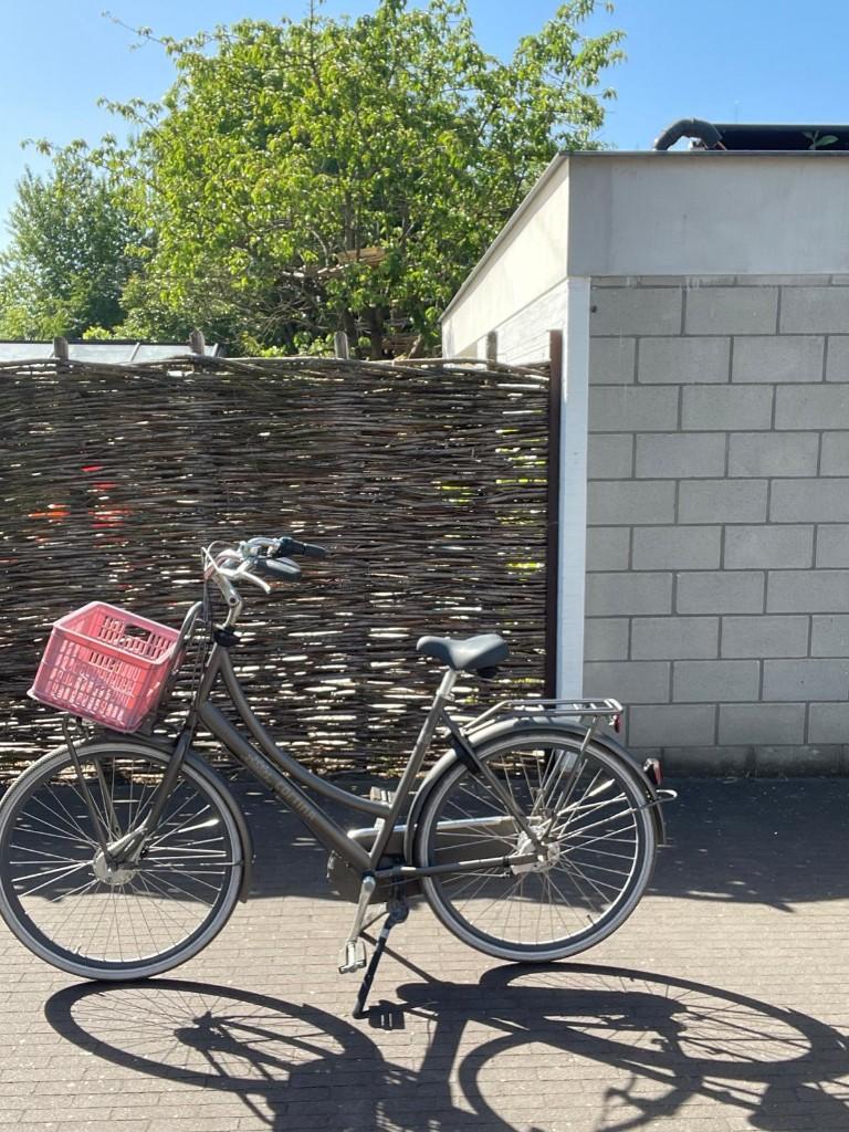 Cortina damesfiets 'Family', Fietsen en Brommers, Versnellingen, Ophalen, Overige merken, 53 tot 56 cm