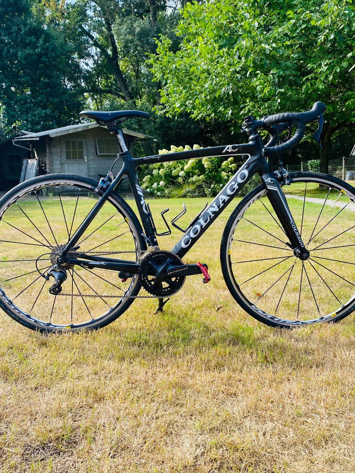 Colnago, Enlèvement, Comme neuf, Autres marques
