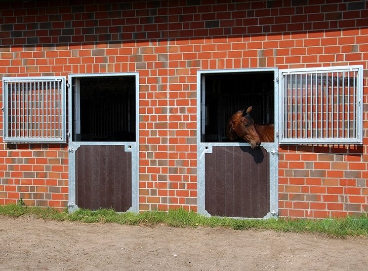 61. Staldeur | staldeur paard | paardenstal deuren, Animaux & Accessoires, Box & Pâturages, Mise à l'étable, 1 cheval ou poney