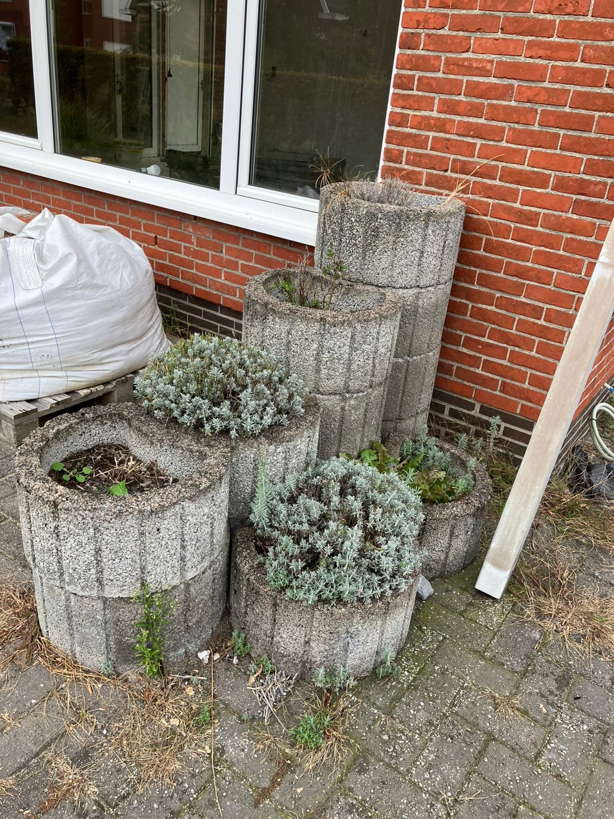 Gratis bloembaken, Tuin en Terras, Ophalen, Zo goed als nieuw