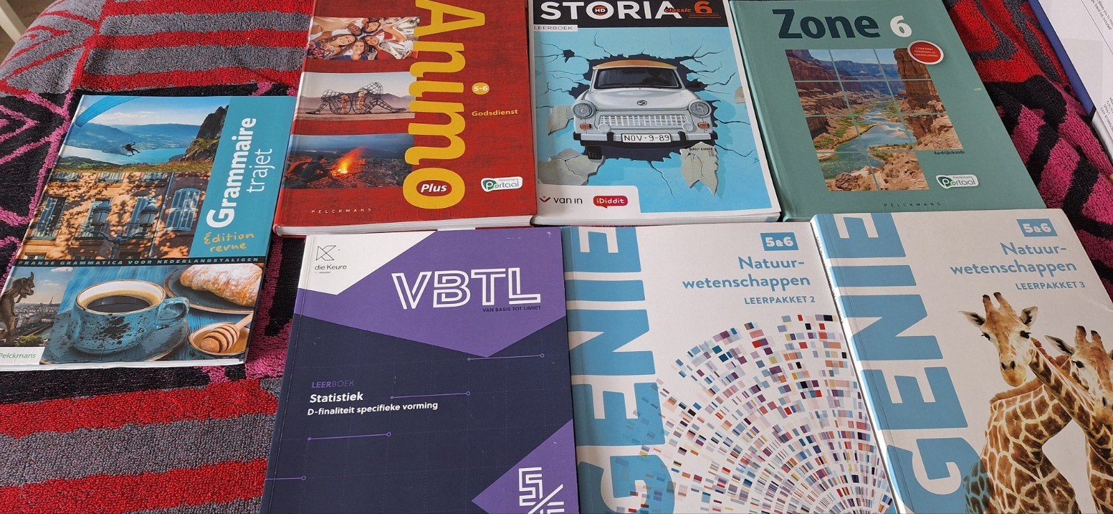 Schoolboeken 2de hands 5 en 6de middelbaar, Ophalen of Verzenden, Zo goed als nieuw
