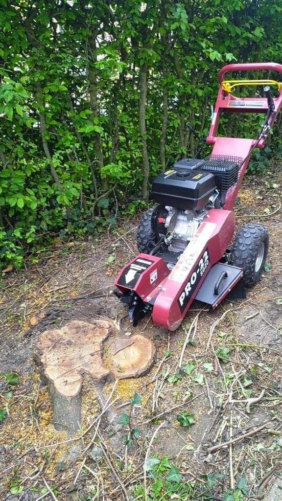 Frezen van boomstronken, Tuin en Terras, Ophalen, Nieuw