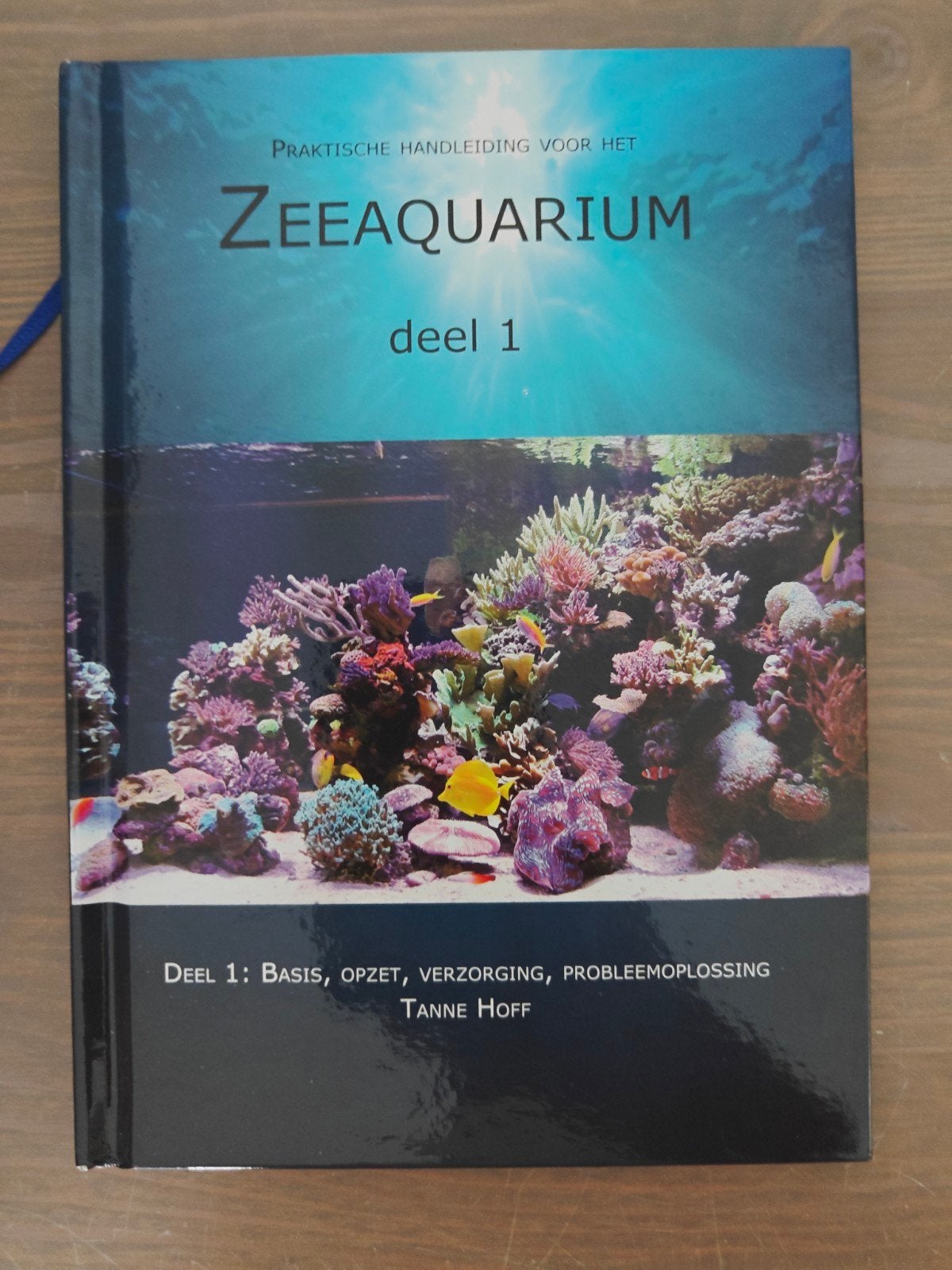 Tanne Hoff - 1: Basis, opzet, verzorging, probleemoplossing, Boeken, Ophalen of Verzenden, Tanne Hoff