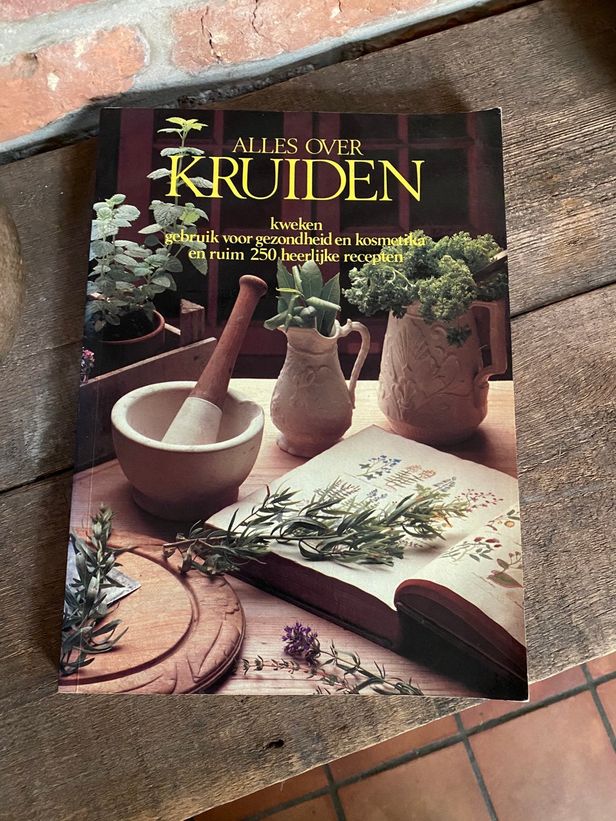 Alles over kruiden • Philippa Back, Ophalen of Verzenden, Gelezen