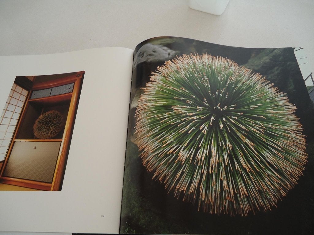 kunstboek bloemschikken, Ophalen of Verzenden, Zo goed als nieuw