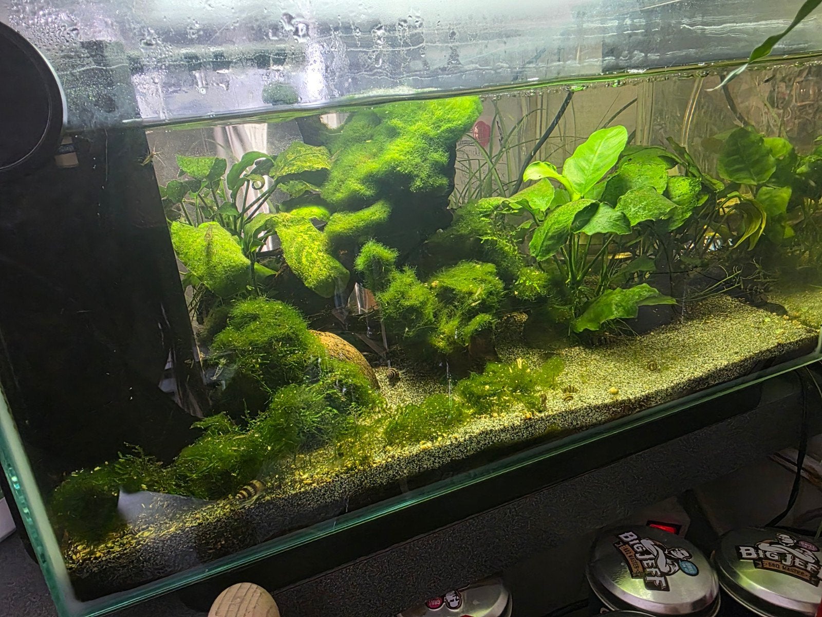 Aquarium met toebehoren, Dieren en Toebehoren, Ophalen
