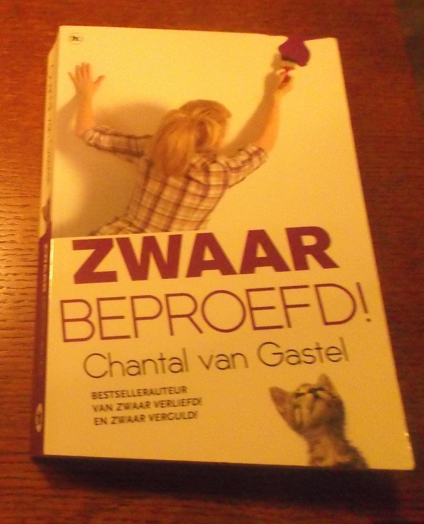 Zwaar beproefd / Chantal van Gastel, Livres, Chick lit, Enlèvement, Comme neuf, Chantal van Gastel