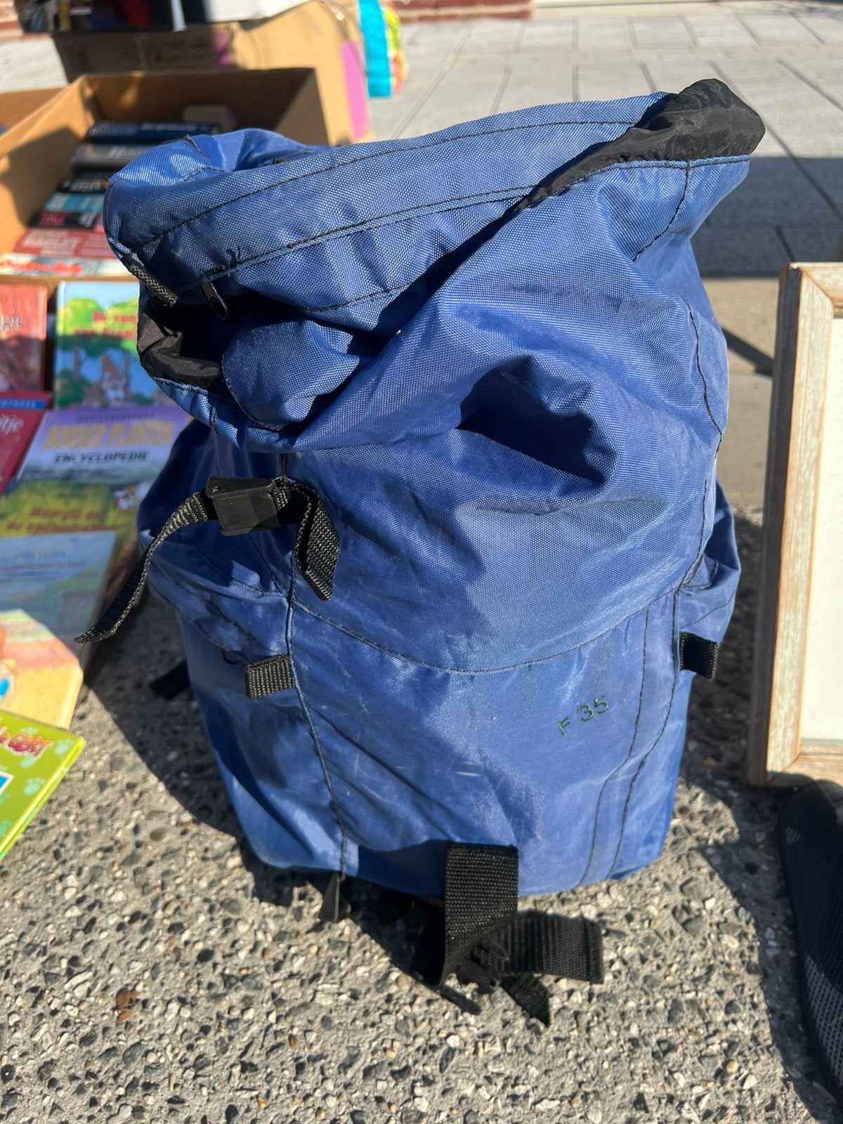 Trekrugzak, Handtassen en Accessoires, Ophalen of Verzenden, Zo goed als nieuw