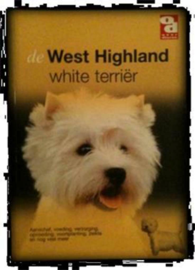 De West Highland white terriër, Livres, Animaux & Animaux domestiques, Utilisé, Chiens, Enlèvement ou Envoi