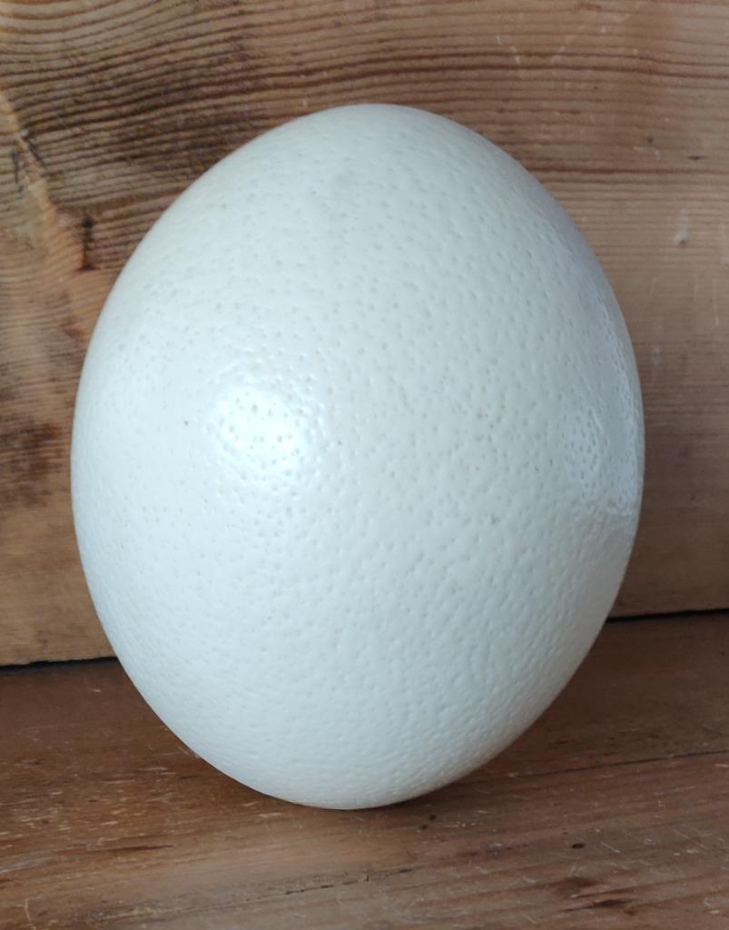 Mooi, natuurlijk en decoratief : een EI, Ophalen, Gebruikt