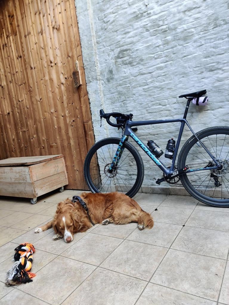 Cannondale SuperX cyclocross - gravel, Enlèvement