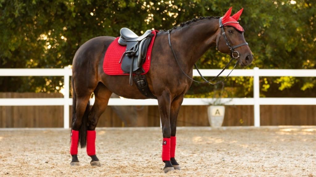 LeMieux Suede dressuur dekje Chilli Red SALE!, Enlèvement ou Envoi, Neuf
