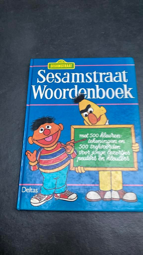 Nr 80: Sesamstraat woordenboek uit 1981 (vintage), Ophalen of Verzenden, Gelezen, Niet van toepassing