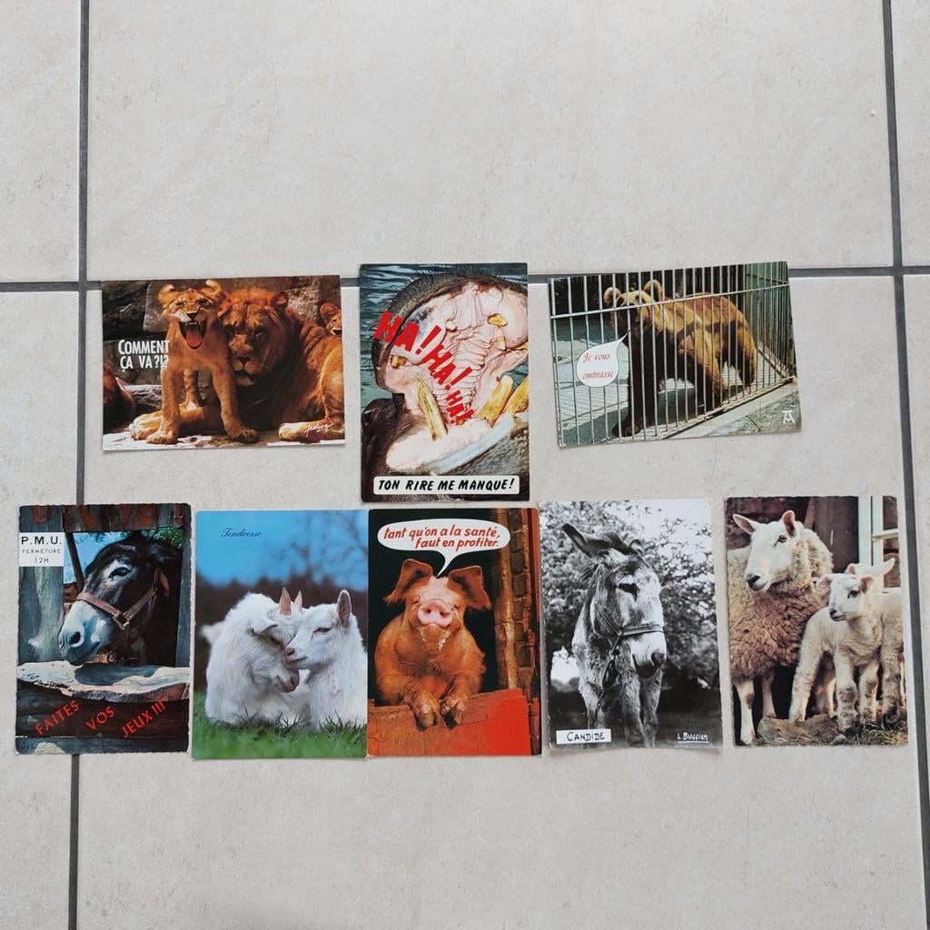 Lot van 8 postkaarten (dieren), Verzamelen, Ophalen of Verzenden