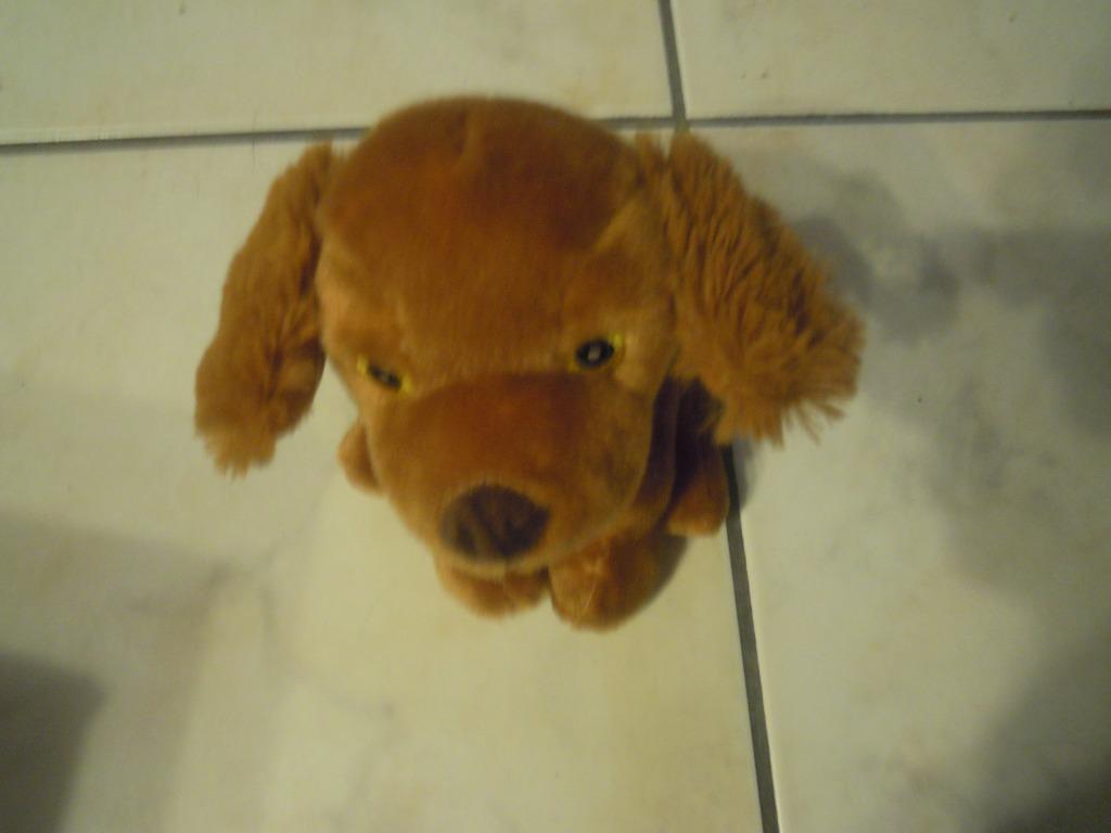 knuffel zeeman hond(doos dec 2023 2), Kinderen en Baby's, Speelgoed | Knuffels en Pluche, Ophalen of Verzenden, Nieuw, Hond