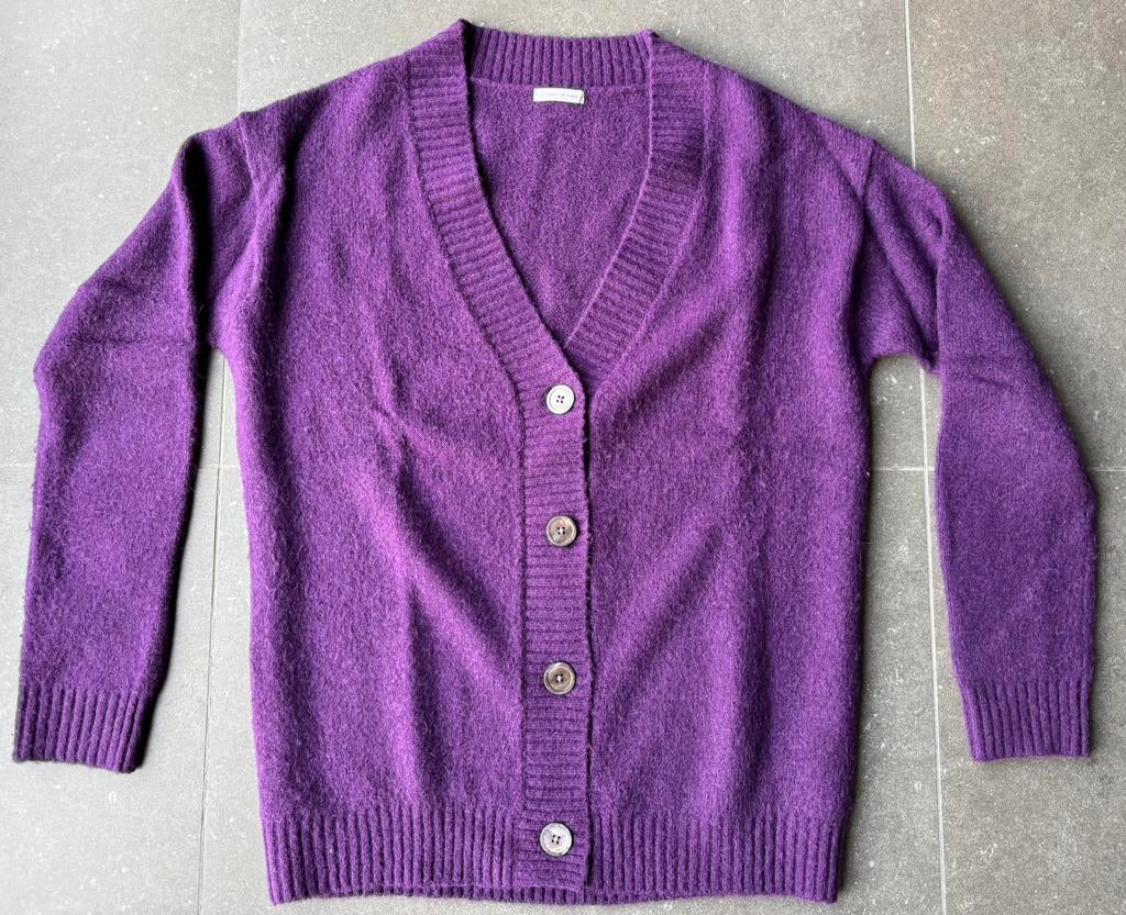 Gebreide vest paars Just in Case, Vêtements | Femmes, Enlèvement ou Envoi, Porté, Taille 36 (S), Violet