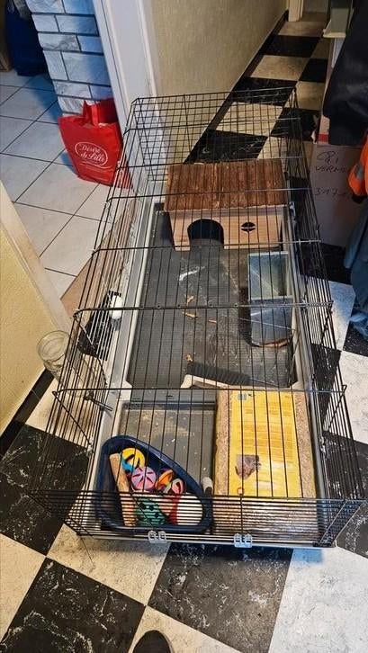 Konijnenkot, Dieren en Toebehoren, Kooi, 110 cm of meer, Zo goed als nieuw, Eekhoorn