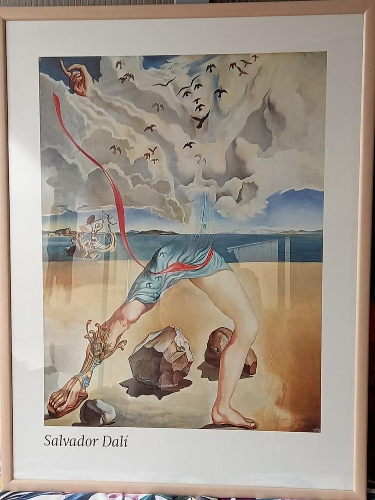 Schilderij Salvador Dali, Antiek en Kunst, Kunst | Litho's en Zeefdrukken, Ophalen