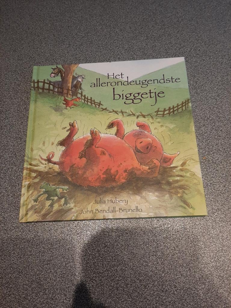 Leesboek, Boeken, Ophalen of Verzenden, Zo goed als nieuw