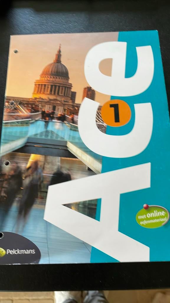 Leerwerkboek ace 1, Boeken, Ophalen of Verzenden, Nieuw, Nederlands