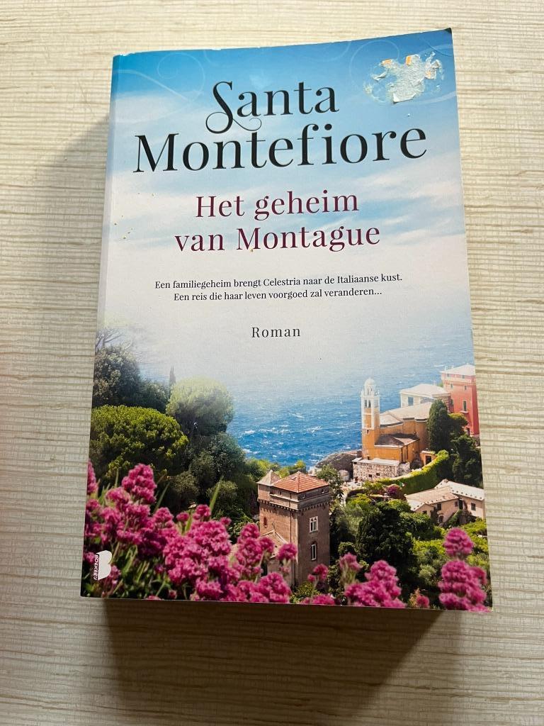 roman: Santa Montefiore: Het geheim van Montagne, Ophalen, Gelezen, Santa Montefiore