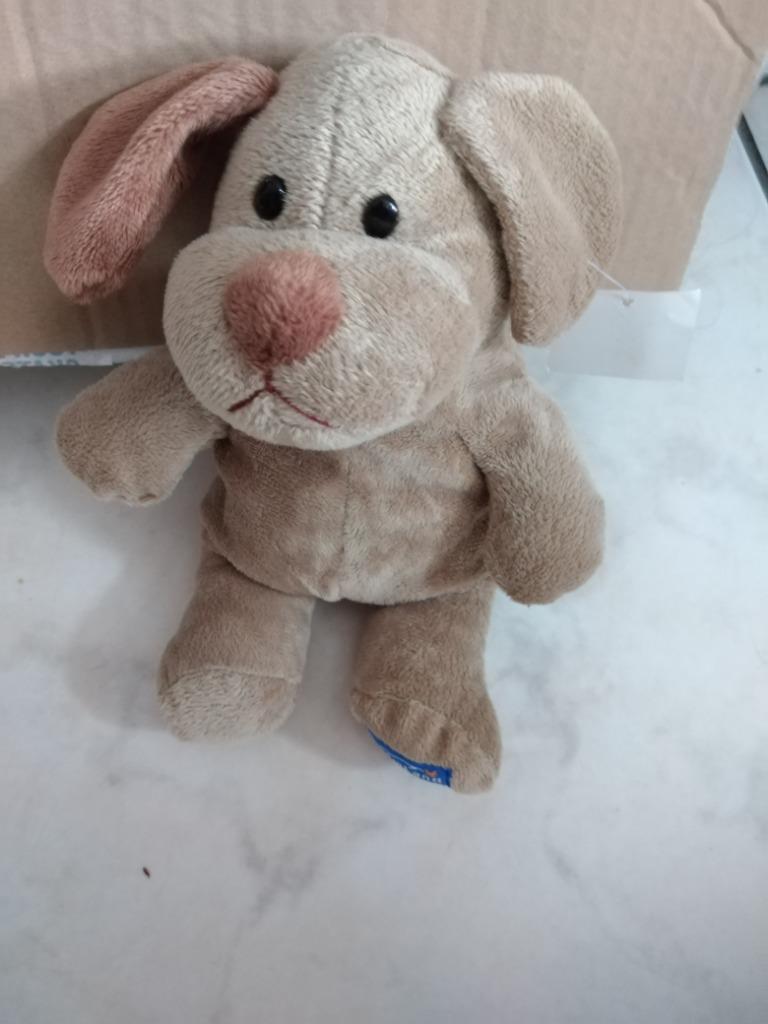 lnuffel dreamland hond (doos juli 2024), Kinderen en Baby's, Speelgoed | Knuffels en Pluche, Ophalen of Verzenden, Nieuw, Hond