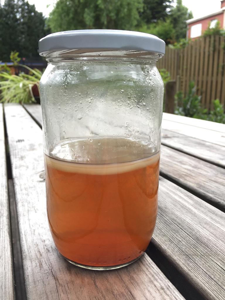 Gratis recept voor Kombucha - gemakkelijk, Enlèvement ou Envoi