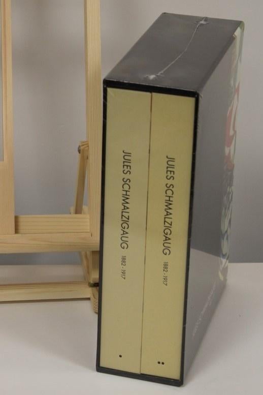 JULES SCHMALZIGAUG - BOX, Boeken, Kunst en Cultuur | Beeldend, Ophalen of Verzenden, Nieuw