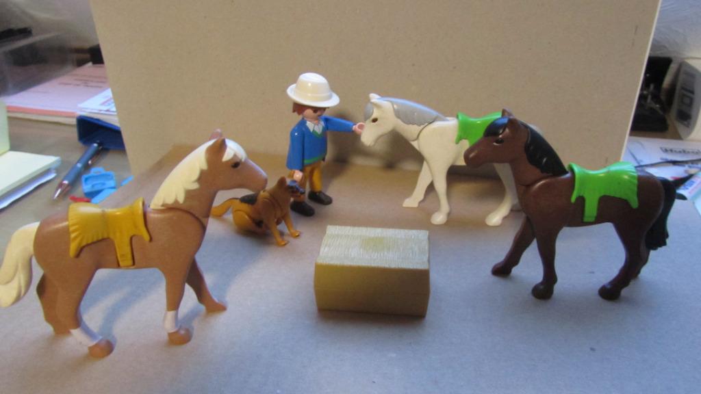 playmobil Chevaux, Enfants & Bébés, Enlèvement ou Envoi, Comme neuf