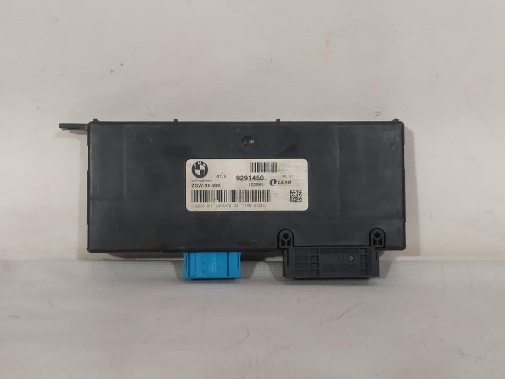 Modules Gateway BMW F10 9291450, Enlèvement, Utilisé, BMW