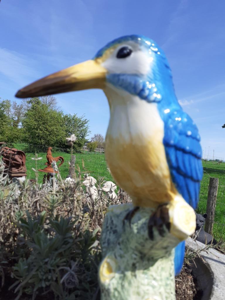 SUPERBE MARTIN PECHEUR SUR BRANCHE EN FAIENCE, Antiquités & Art, Enlèvement ou Envoi