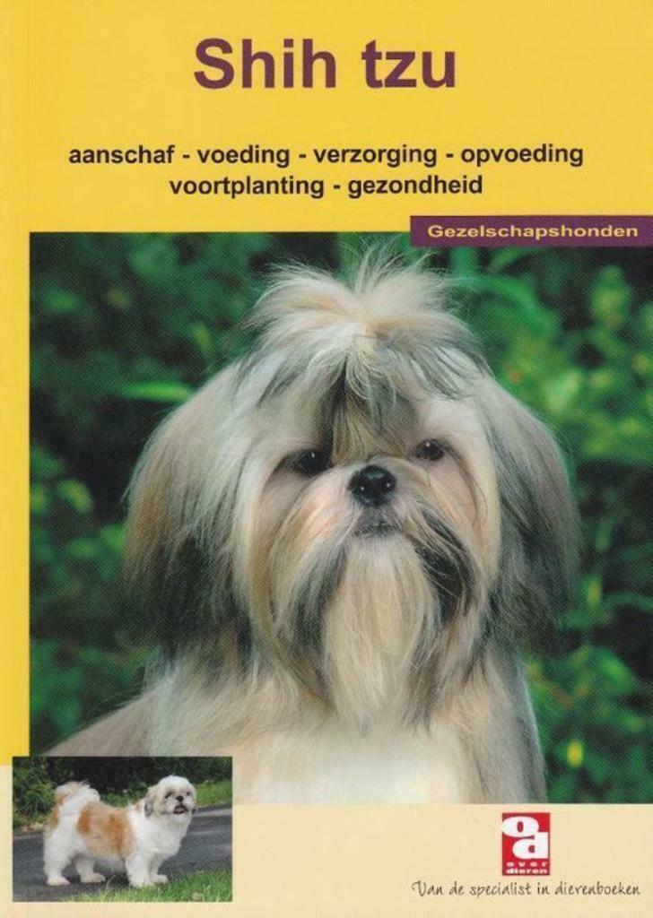 Shih Tzu, Enlèvement, Chiens