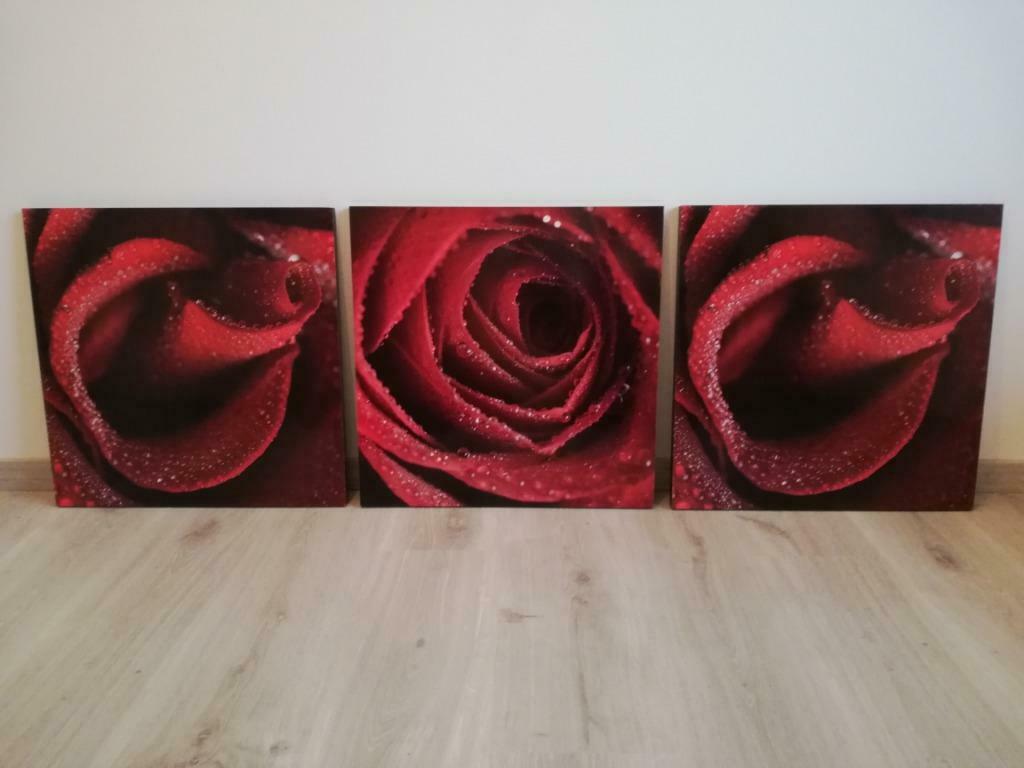 Drieluik roos, Enlèvement