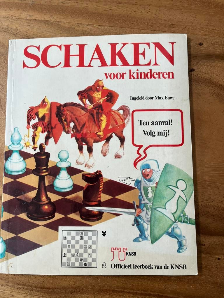 Boek schaken voor kids, Ophalen of Verzenden, Zo goed als nieuw, Schaken