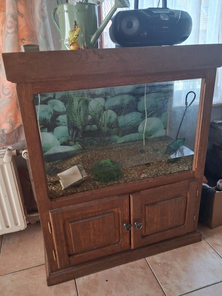 Aquarium, Dieren en Toebehoren, Ophalen