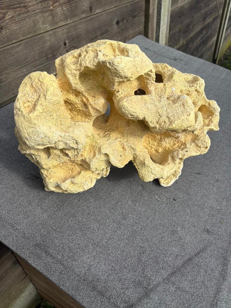 Corail pour aquarium, Enlèvement