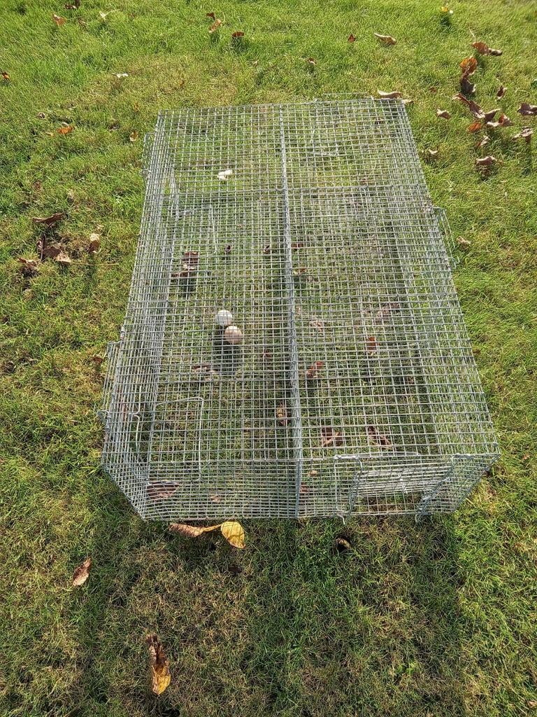 Rattenval  ,  Verschillende vallen prijs vanaf 15€, Dieren en Toebehoren