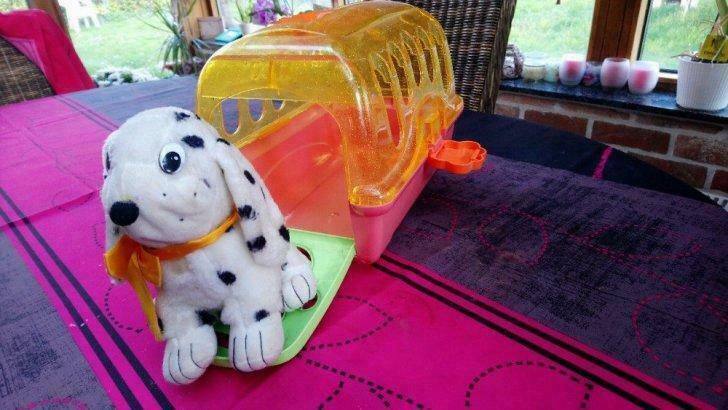 chien dans sa cage, Enlèvement, Utilisé, Chien