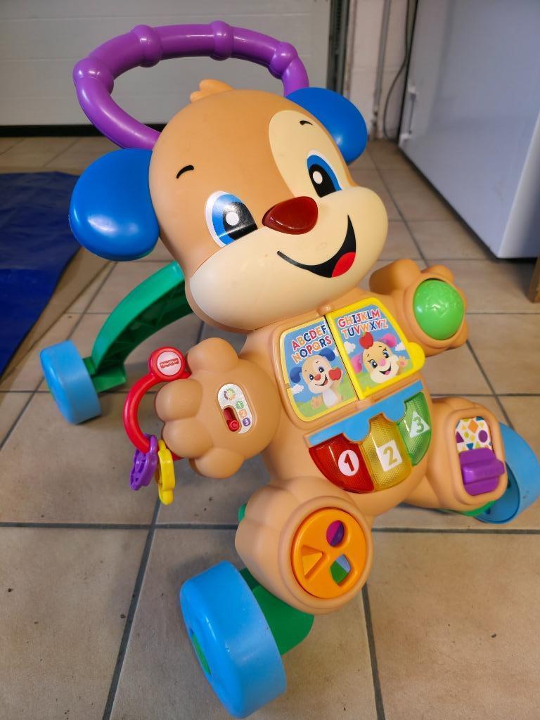 Vervoerder/wandelaar van Fisher Price, Kinderen en Baby's, Ophalen, Gebruikt, Duw- of Trekspeelgoed, Met licht