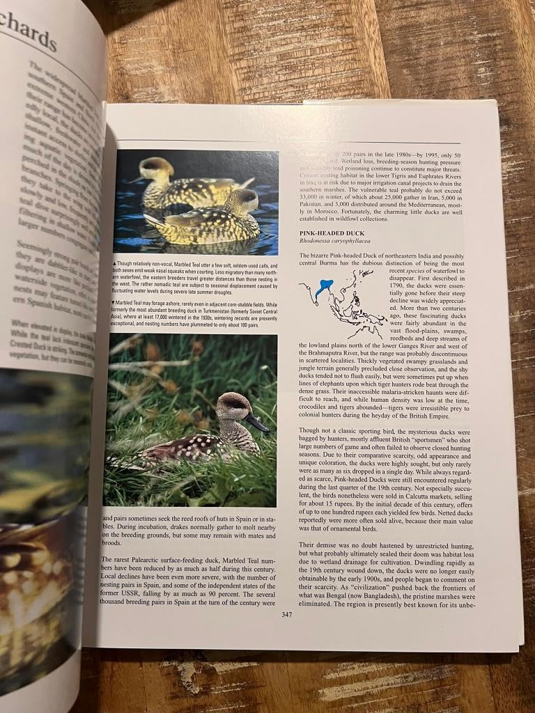 Histoire naturelle de la sauvagine, couverture rigide par To, Enlèvement ou Envoi, Comme neuf, Oiseaux, Frank S. Todd