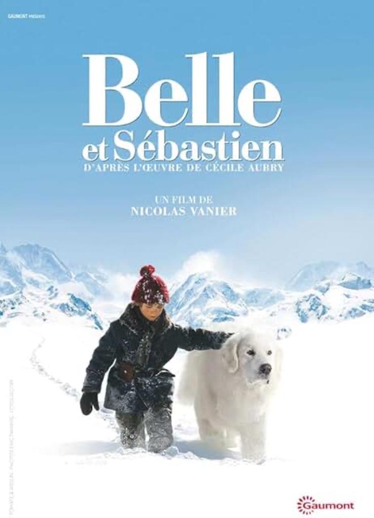 DVD Belle et Sebastien N1, Tous les âges, Enlèvement ou Envoi, Comme neuf, Autres genres