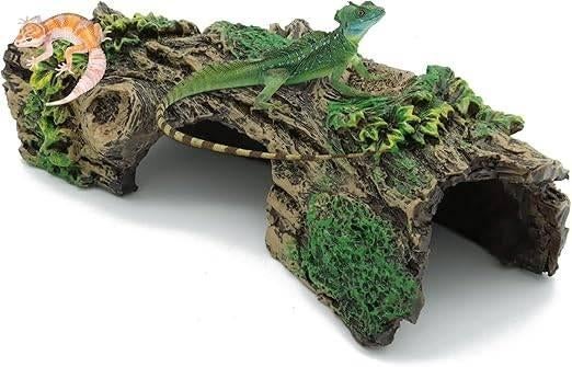 Décoration d'aquarium | terrarium | LIVRAISON GRATUITE